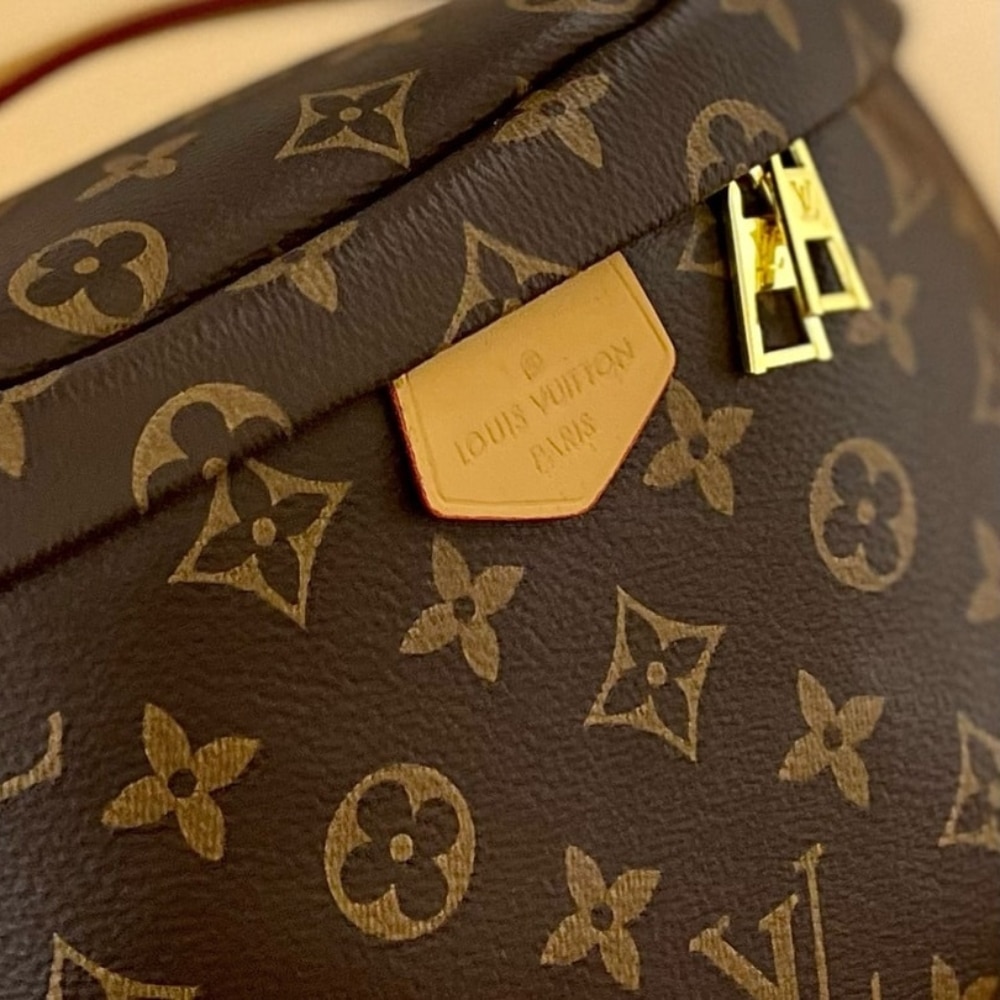 Louis Vuitton Bumbag Monogram Canvas Brown 26Cm M43644 - Image 7