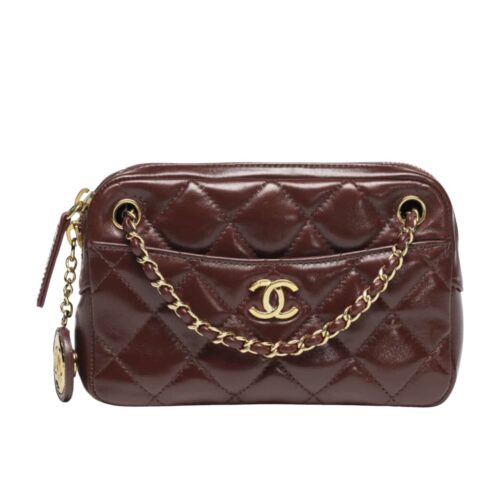 Chanel Mini Smooth Leather Camera Case Dark Brown 18cm AS5190 B18306 NZV43