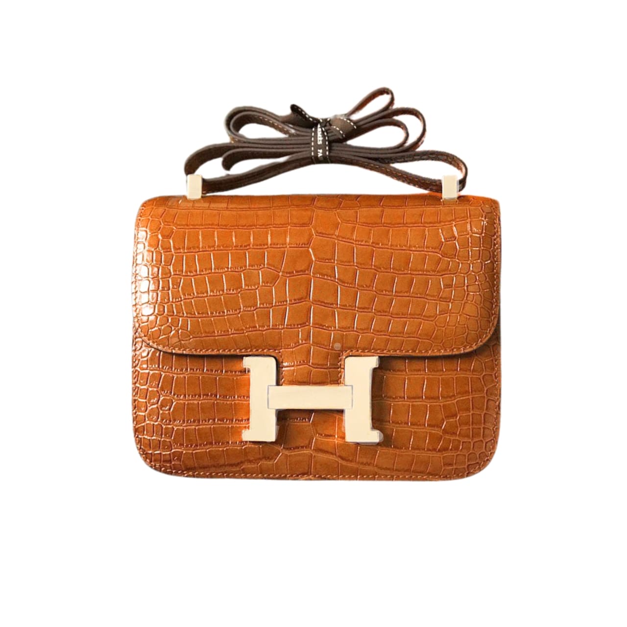 Hermes Constance 19 Mini Shiny Alligator Palladium Hardware Crossbody Bag Gold 19Cm