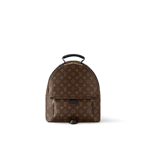 Louis Vuitton Palm Springs Mm Brown 33Cm M44874